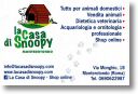 CASA DI SNOOPY.jpg